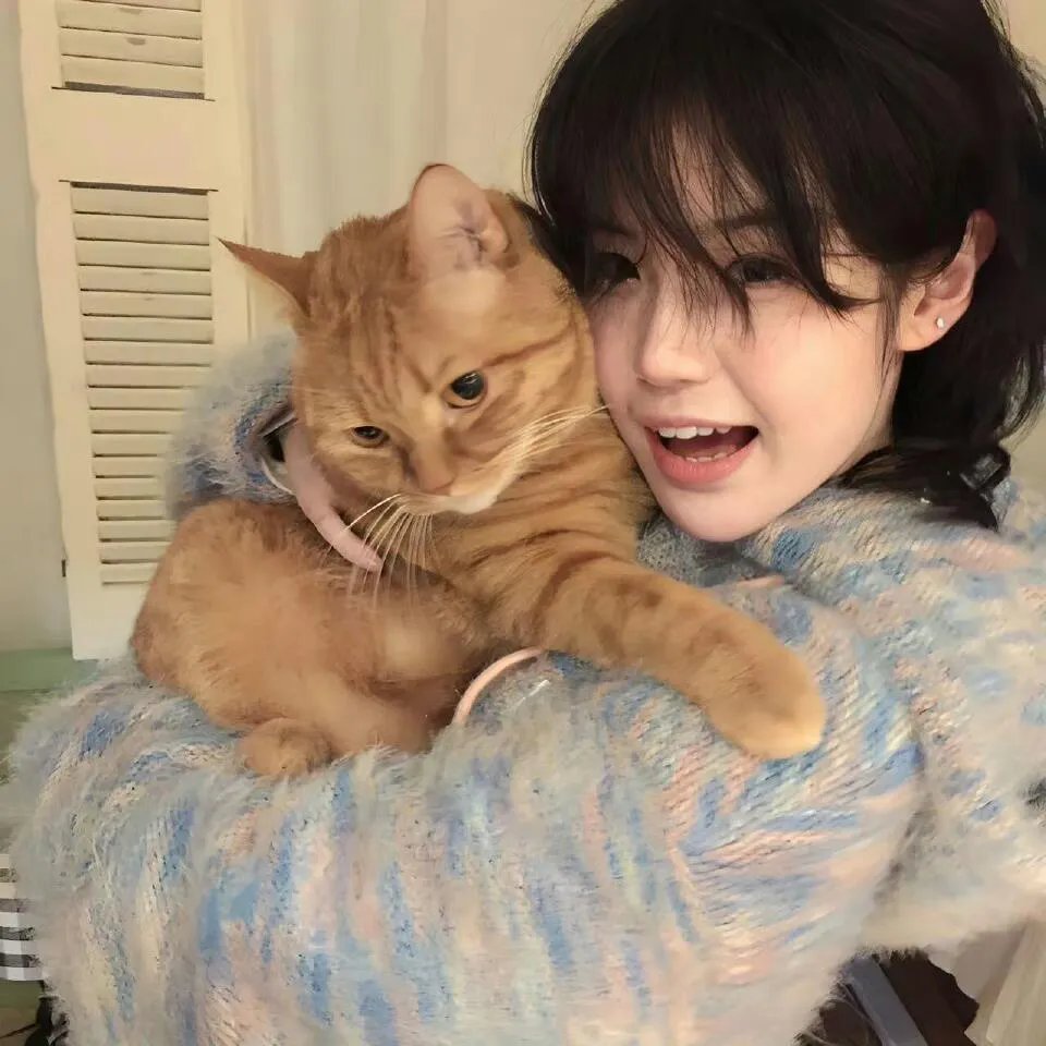 乔省长和他的女儿们